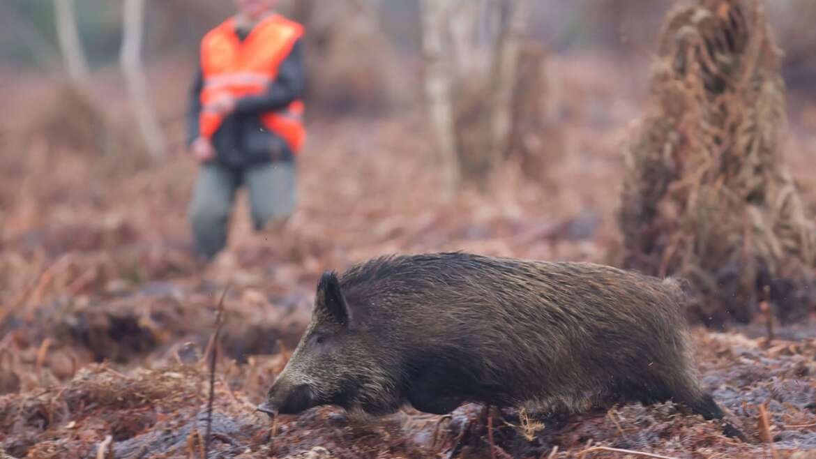 Chasseurs de Gardanne